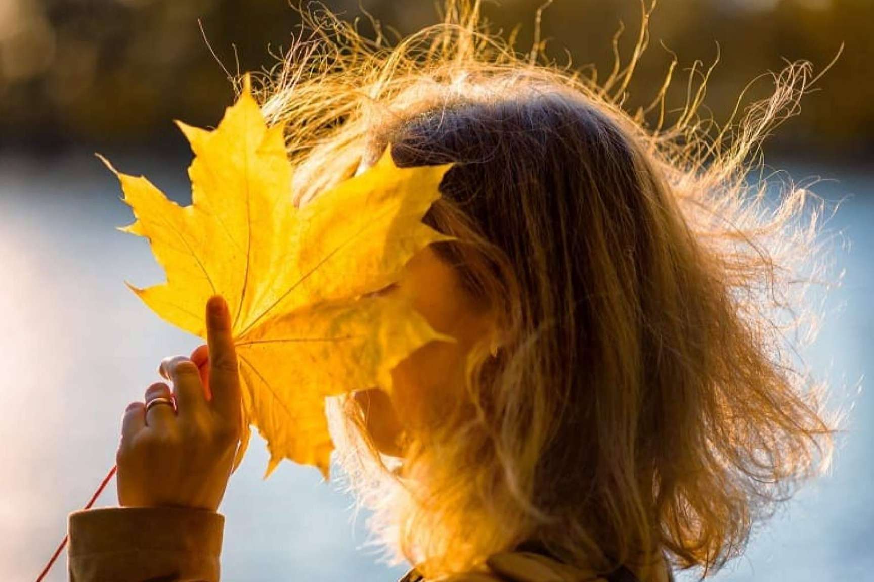 ¿Cómo afrontar la caída capilar estacional en otoño?, por la clínica capilar Laura Agrelo