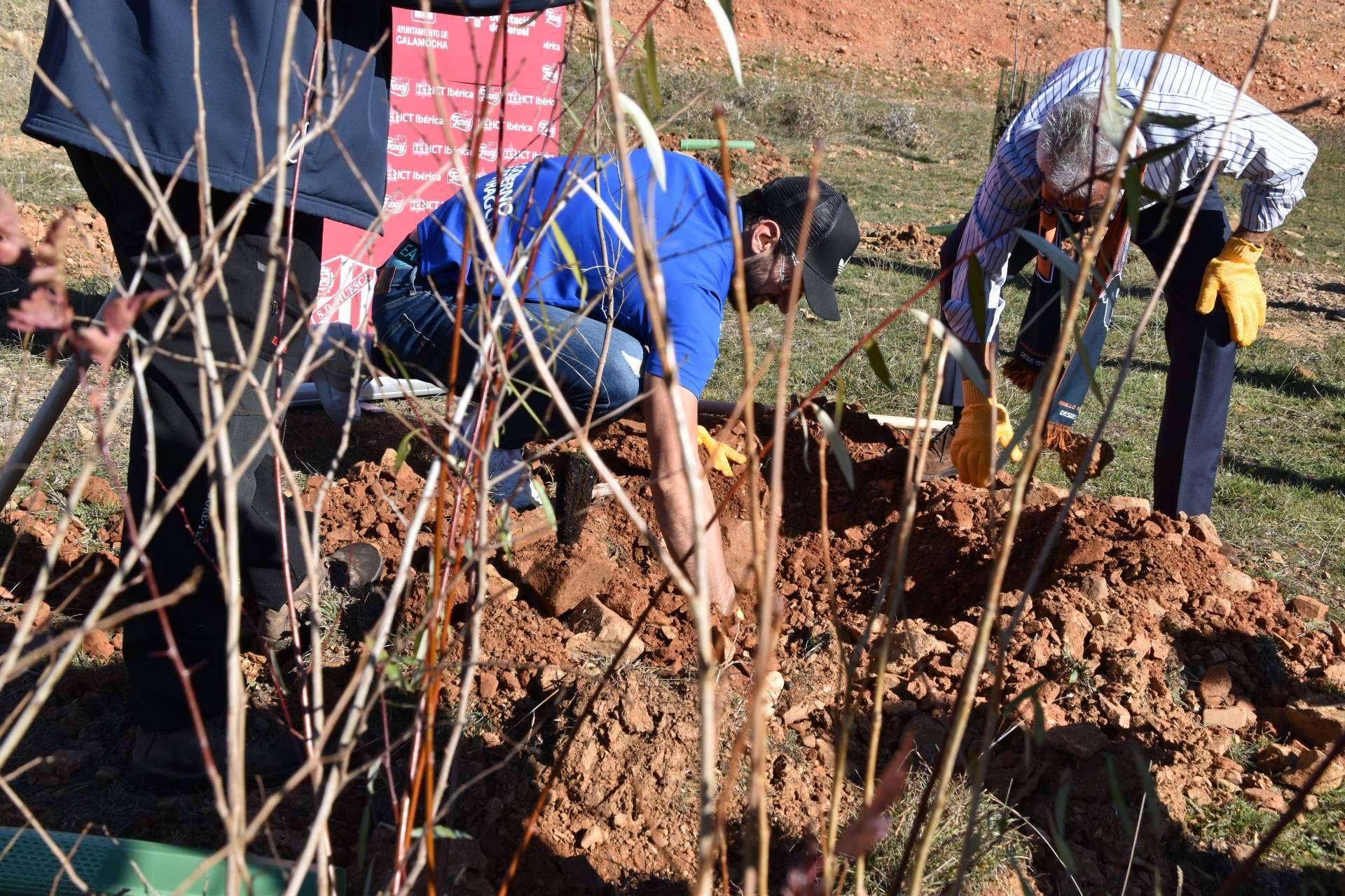 Beneficios de los planes de RSC medioambientales, la plantación de árboles y apadrinamiento de bosques