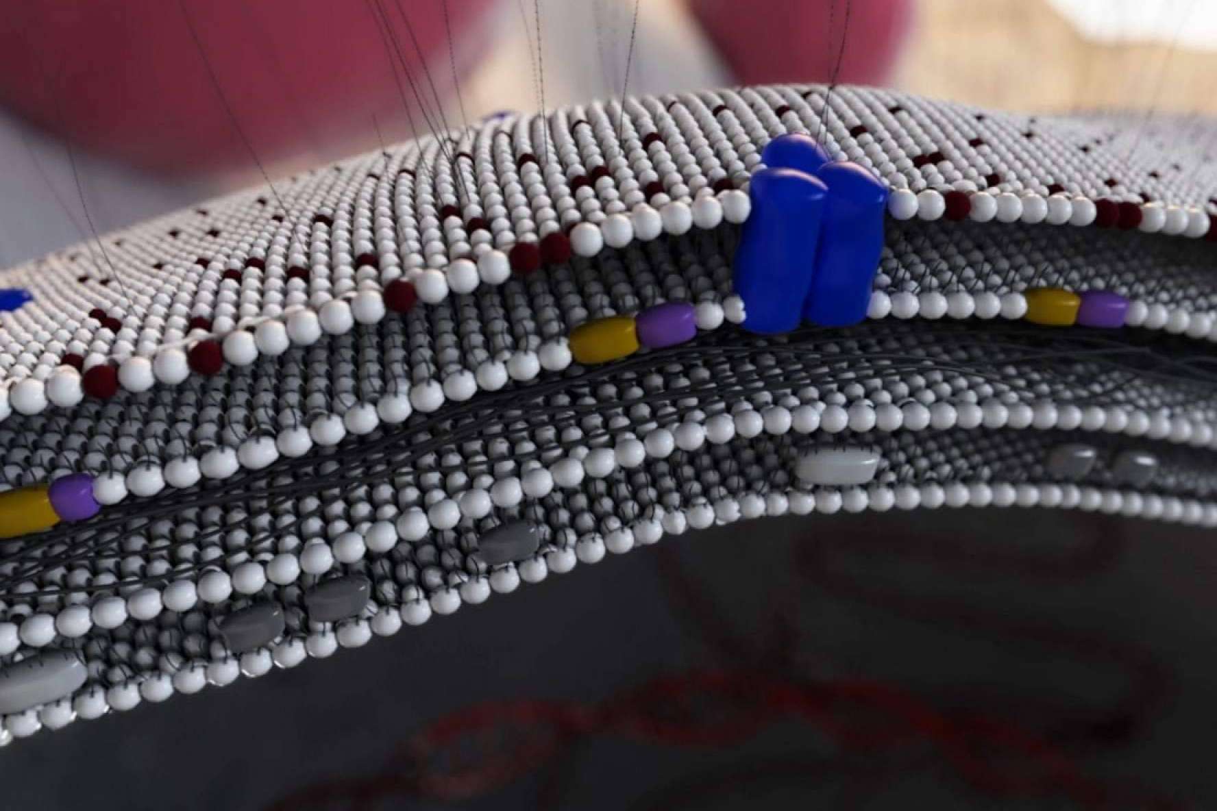 Animación 3D para medicamentos y MOA’s (Mecanismos de Acción). La innovadora propuesta que ofrece Pixeldreams para el sector médico y farma