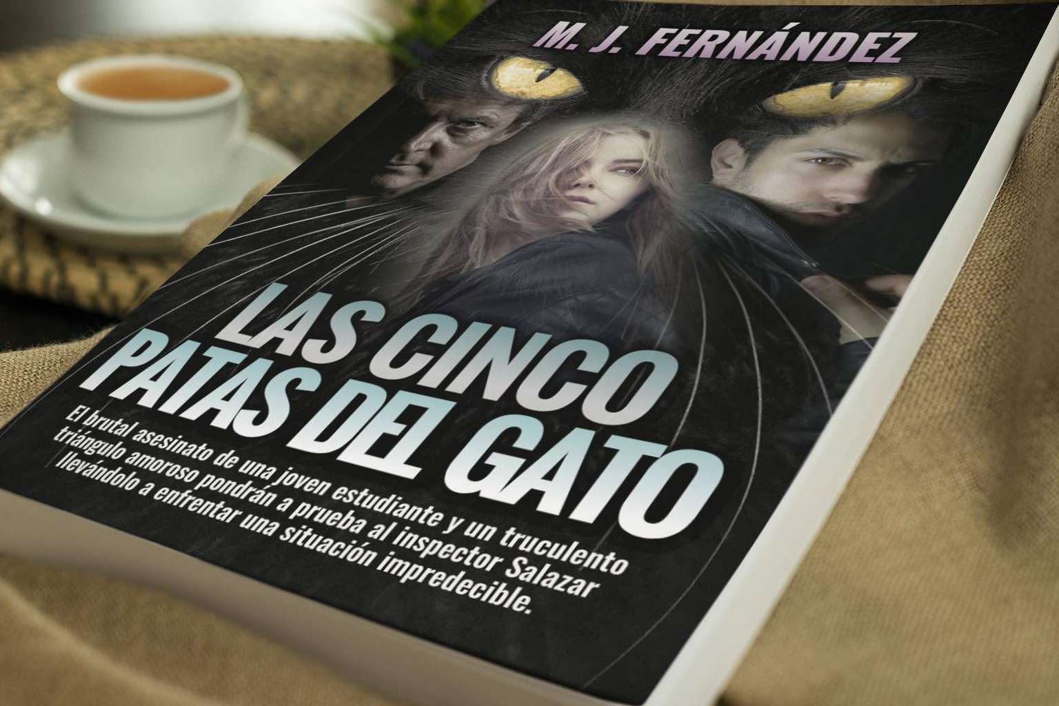 Serie del inspector Salazar, una novela negra española de M. J. Fernández
