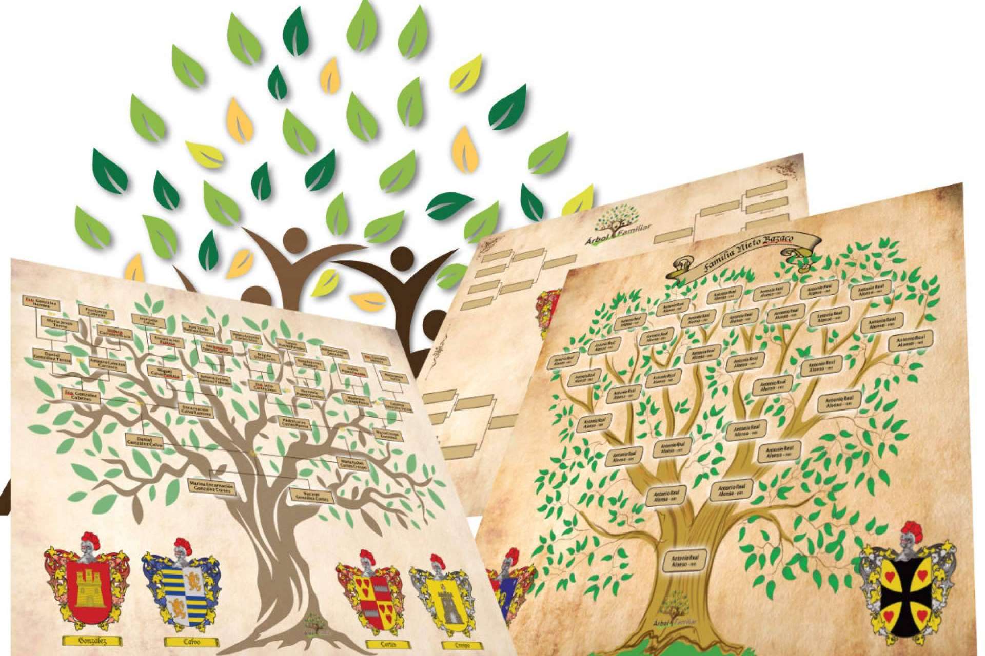 Árboles familiares impresos en láminas o lienzos con Tienda Heráldica