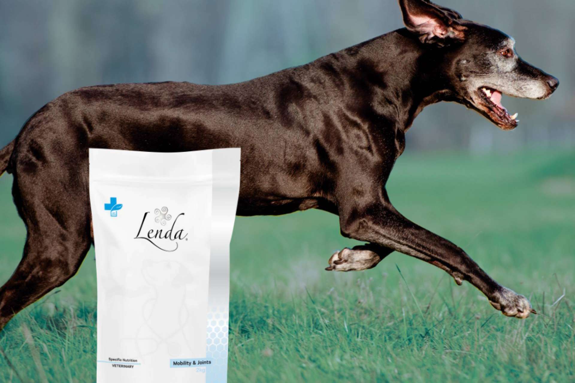 Lenda VET Nature ayuda a la salud articular canina