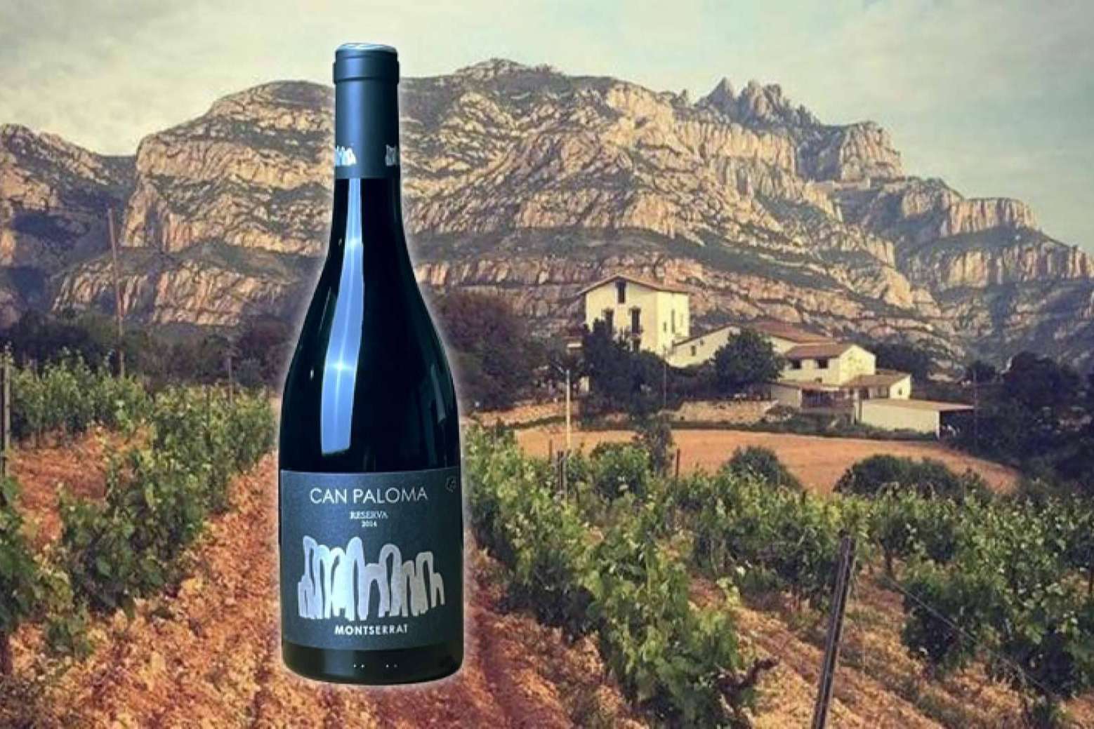 Caldeu presenta vinos Can Paloma elaborados en Montserrat y un servicio de sommelier online