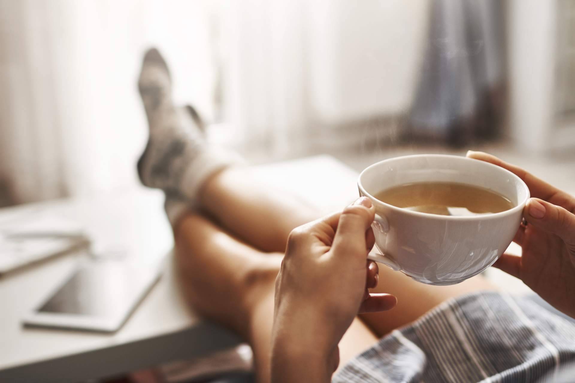 Los beneficios de beber té Rooibos, por Ledma Café y Té