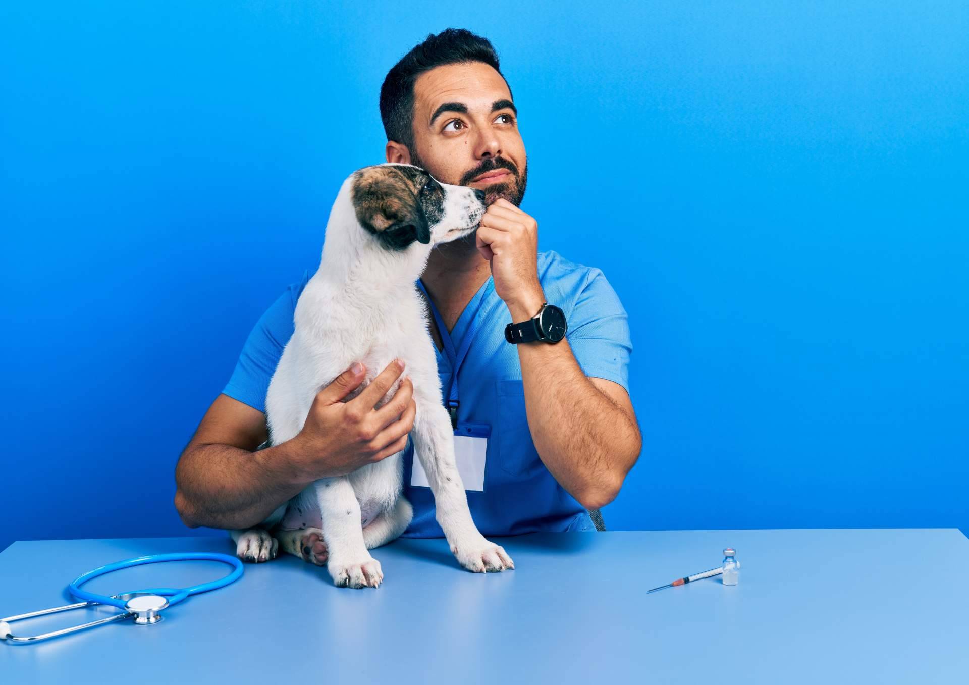 ¿Qué enseñan en los cursos auxiliar veterinaria de VetFormación?