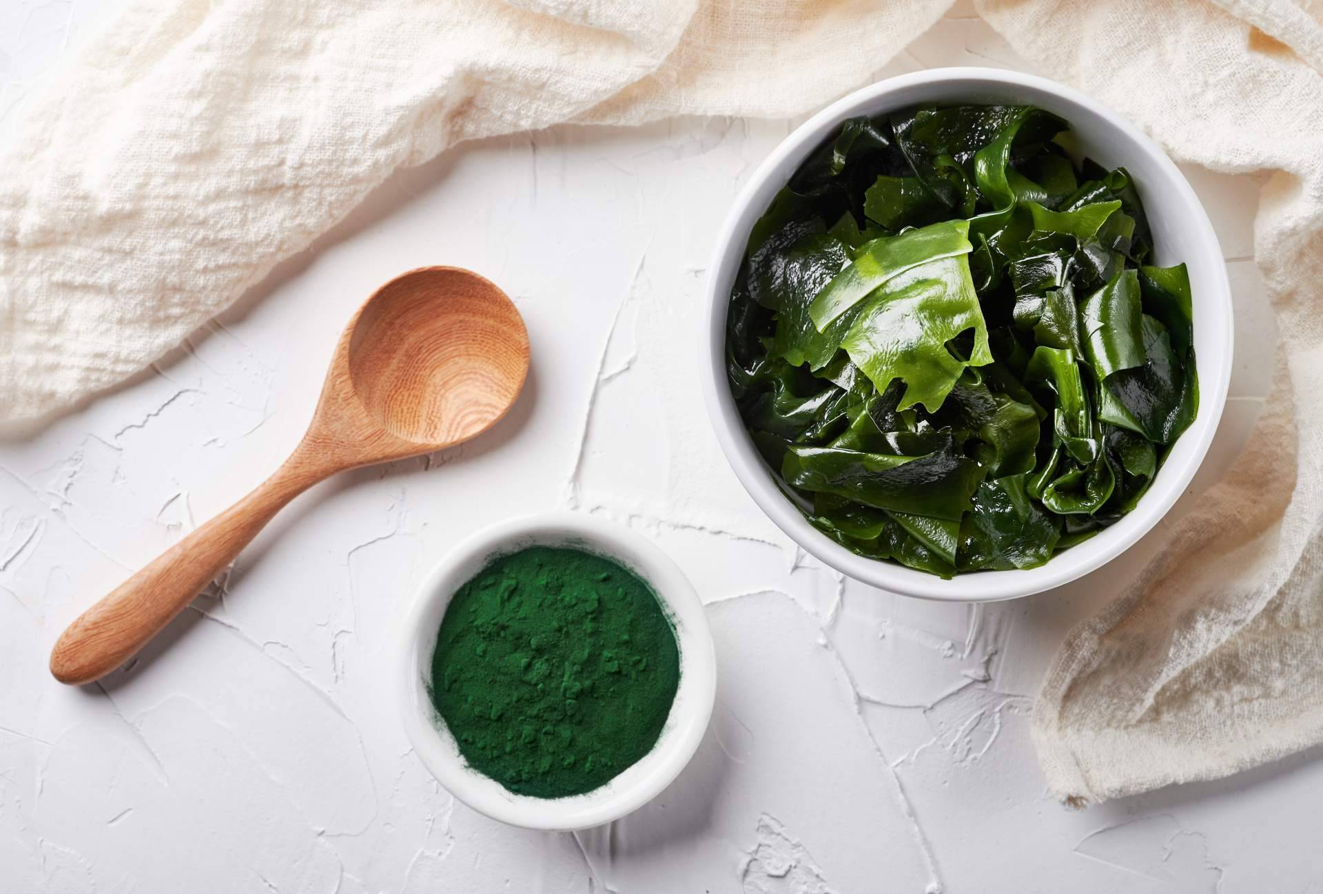 La tienda de Cristóbal acerca de todas las propiedades de la Espirulina DXN
