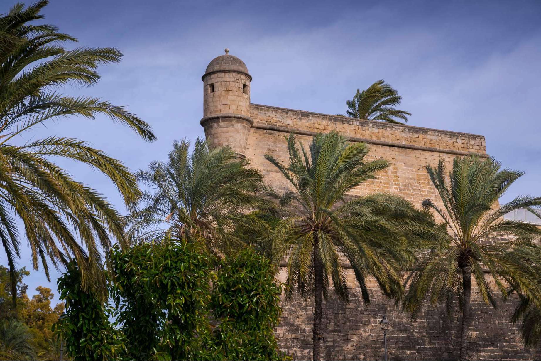 Alquilar, comprar o vender una vivienda en Palma de Mallorca, de la mano de Inmobiliaria Palma