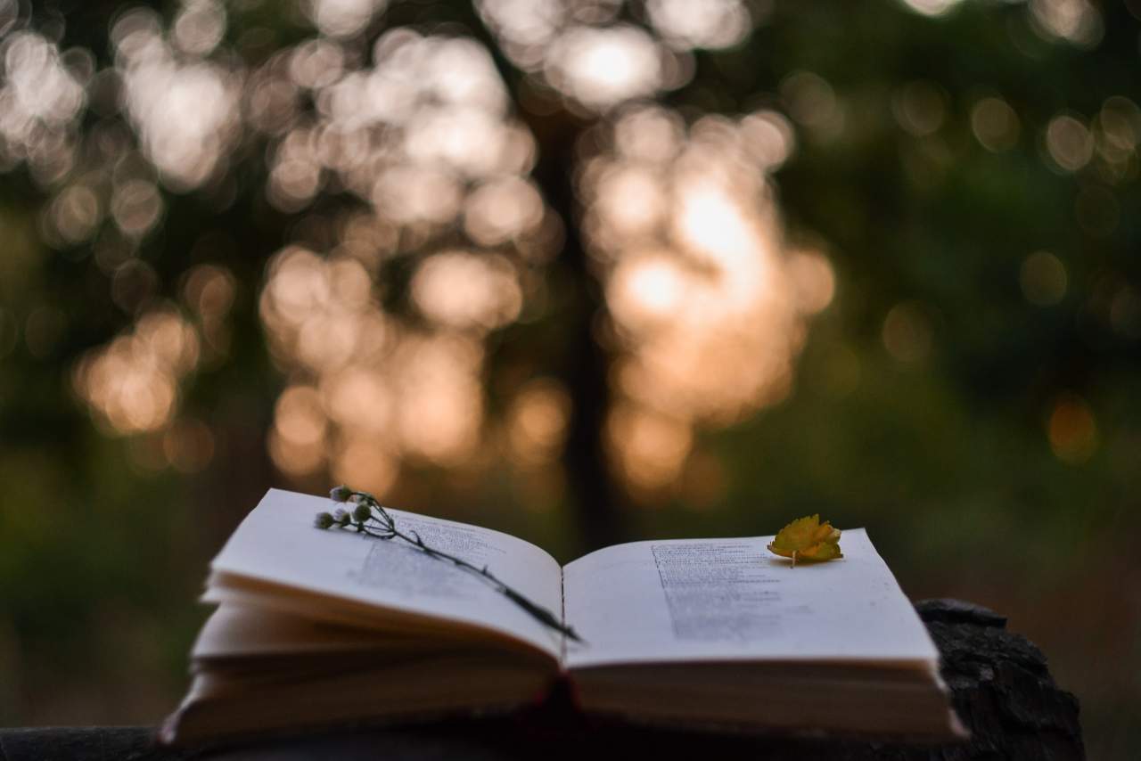 ¿Es posible la digitalización de la poesía? La apuesta de Fundación Alambique