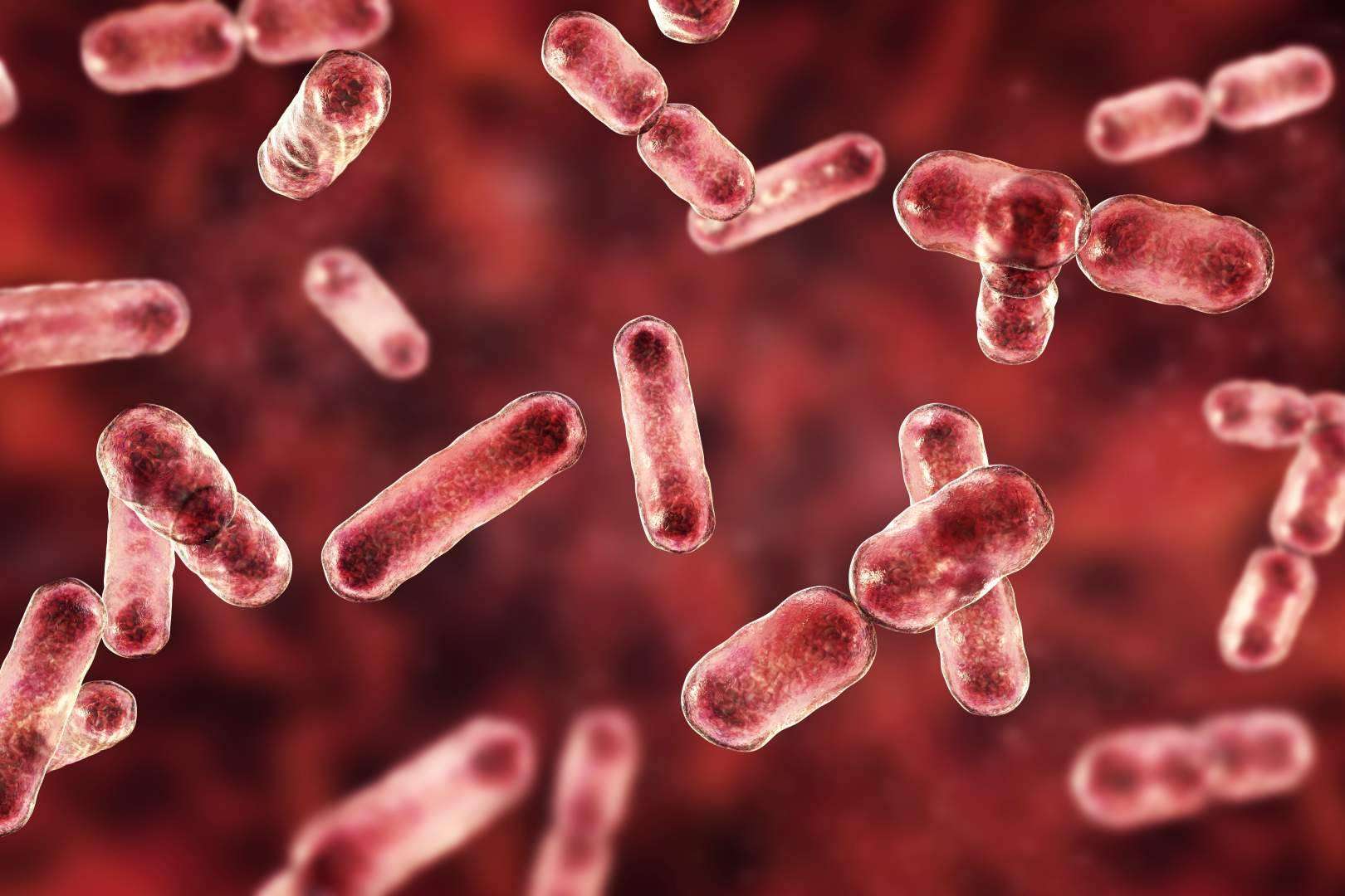 Rehabilitación intestinal para pacientes con disbiosis, en la Clínica Umebir